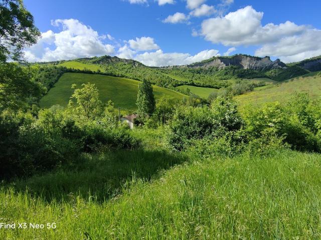 Terreno in vendita a Unione dei comuni Savena-Idice, Pianoro