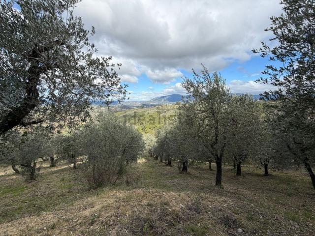Terreno in vendita a Terni, Umbria