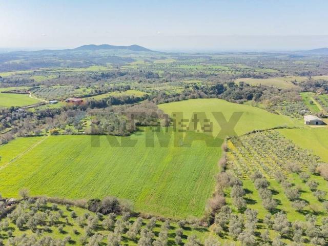 Terreno in vendita a Ischia Di Castro, Lazio