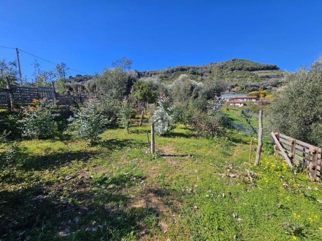 Terreno in vendita a Taggia, Arma Di Taggia