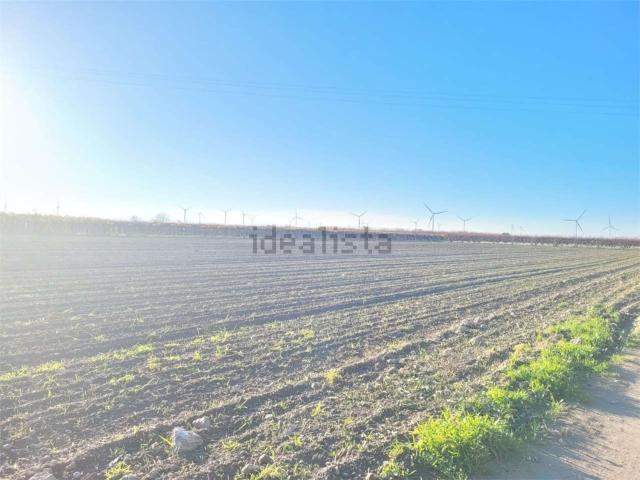 Terreno in vendita a Puglia, Foggia
