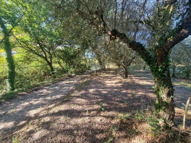 Terreno in vendita a Torre Le Nocelle, Campania
