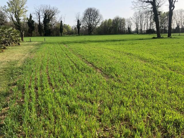 Terreno in vendita a Ponte San Pietro, Bergamo
