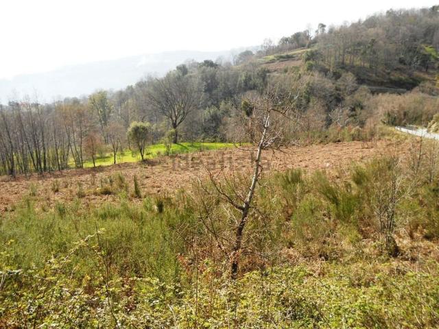 Terreno in vendita a Calabria, Catanzaro