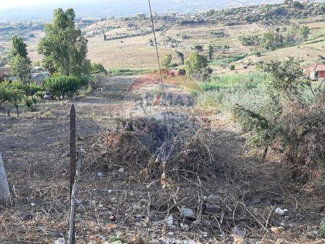 Terreno in vendita a Motta Sant'anastasia, Sicilia
