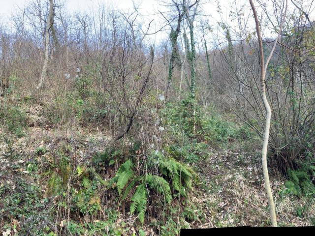 Terreno in vendita a Marche, Fermo