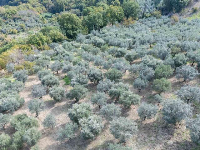 Terreno in vendita a Poggio Nativo, Lazio