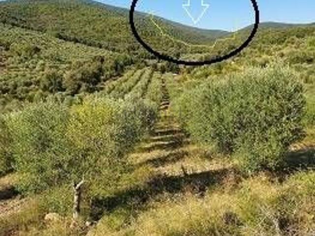 Terreno in vendita a Monte Argentario, Toscana