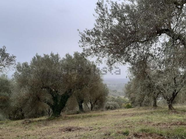 Terreno in vendita a Viterbo, Lazio