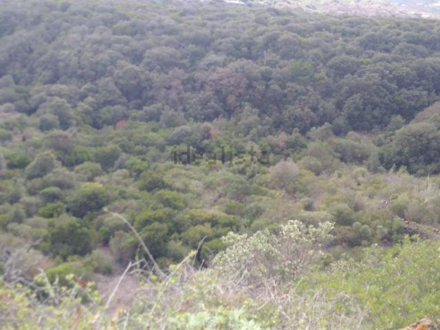 Terreno in vendita a Pantelleria Aeroporto, Sicilia