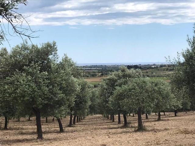 Terreno in vendita a Noto, Siracusa