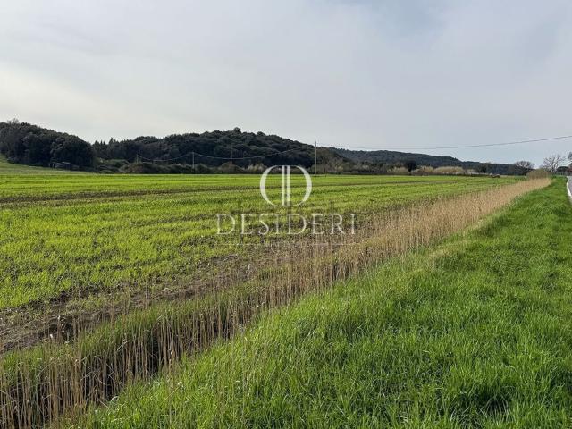 Terreno in vendita a Valpiana, Massa Marittima