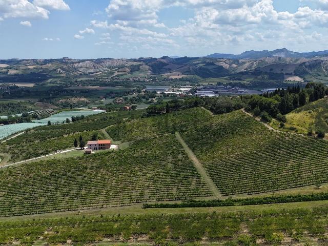 Terreno in vendita a Nuovo Circondario Imolese, Casalfiumanese