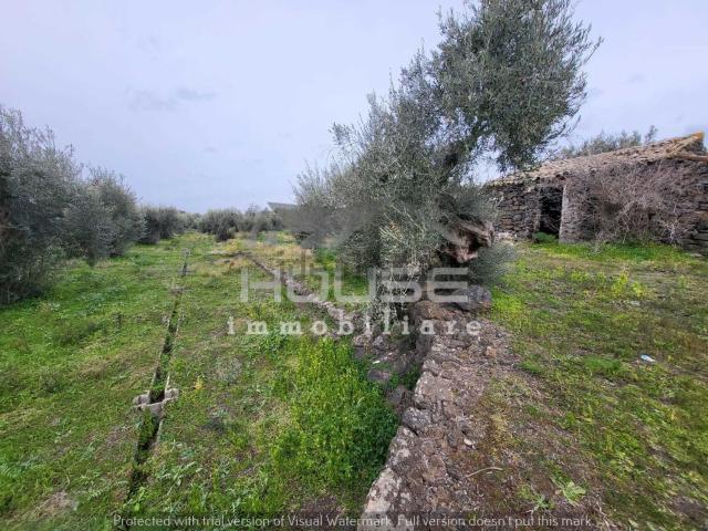 Terreno in vendita a Santa Maria Di Licodia, Sicilia