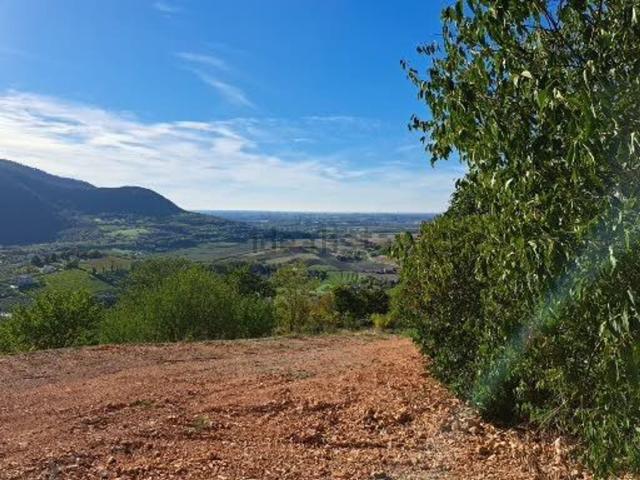 Terreno in vendita a Arquà Petrarca, Padova