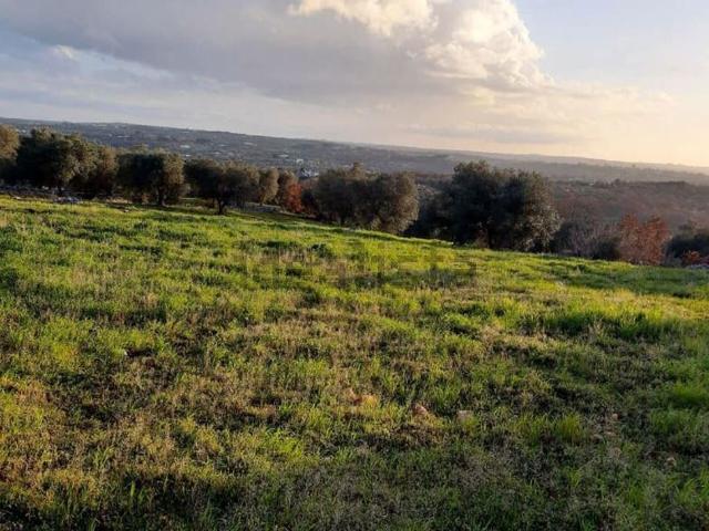 Terreno in vendita a Puglia, Brindisi