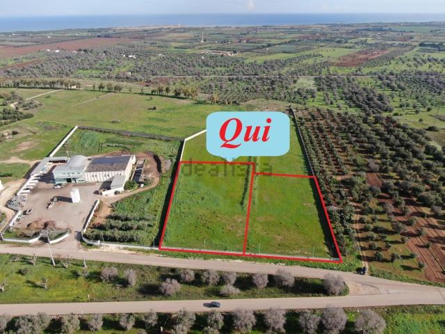 Terreno in vendita a Puglia, Brindisi