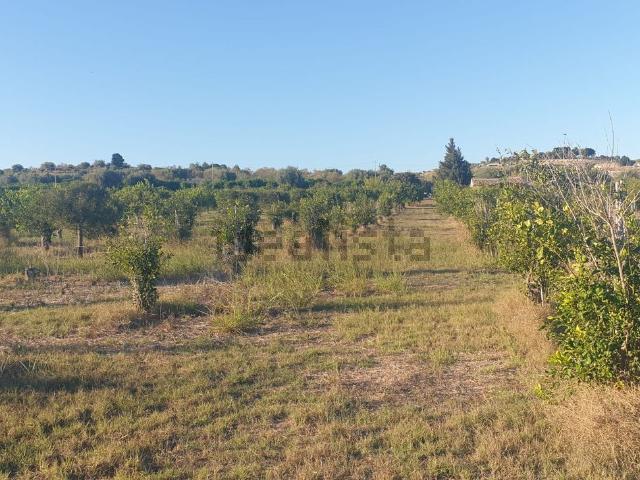 Terreno in vendita a Noto, Sicilia