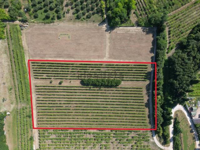 Terreno in vendita a Bussolengo, Veneto