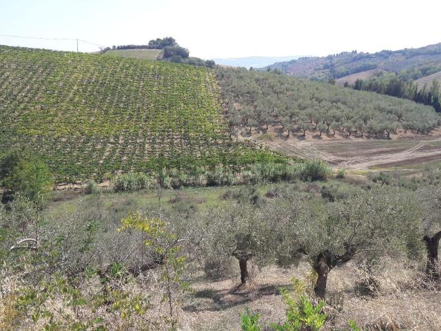 Terreno in vendita a Spoltore, Abruzzo