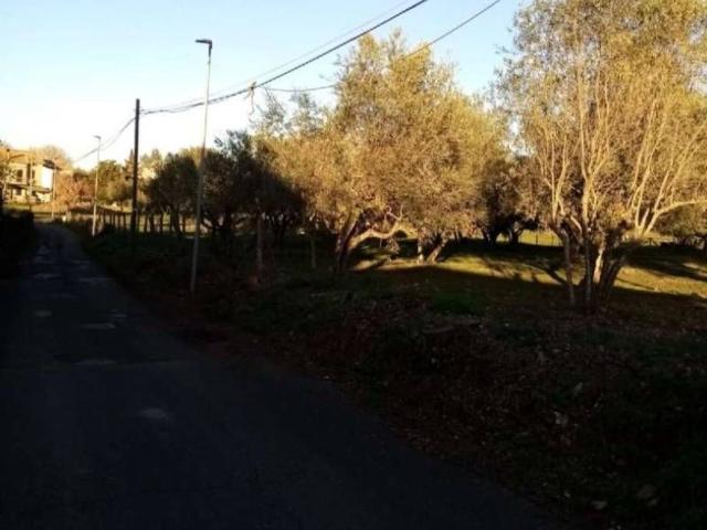 Terreno in vendita a Vetralla, Lazio