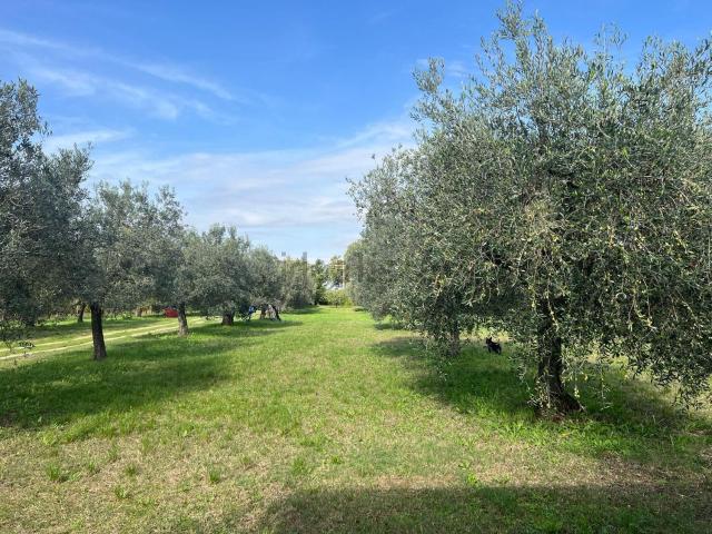 Terreno in vendita a Ponte San Lorenzo, Narni