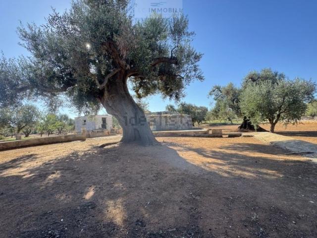 Terreno in vendita a Puglia, Brindisi