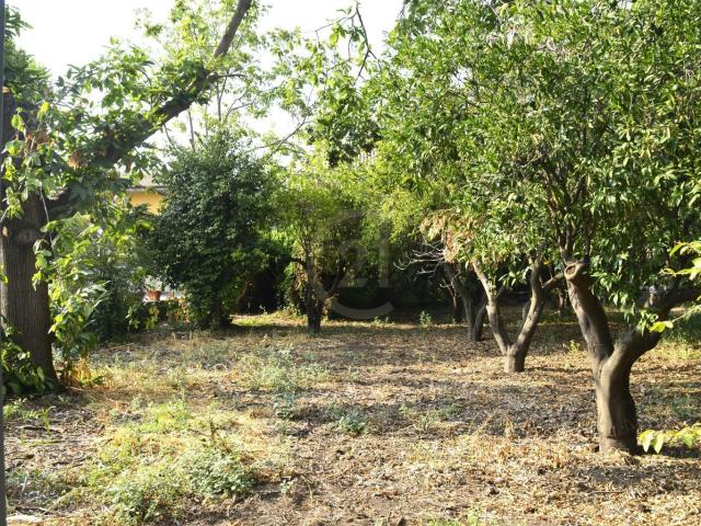 Terreno in vendita a Aci Bonaccorsi, Sicilia