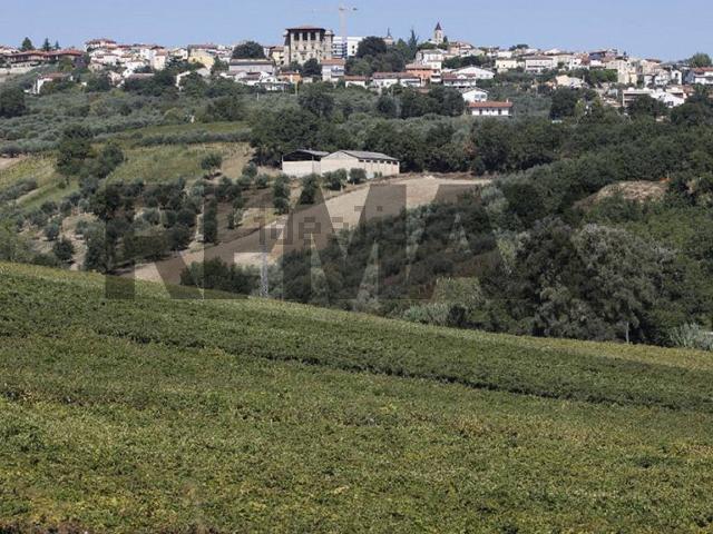 Terreno in vendita a Mozzagrogna, Abruzzo