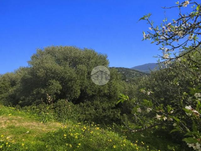 Terreno in vendita a Niu crobu, Quartu Sant'elena