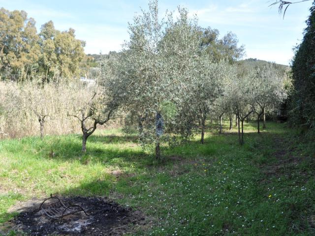 Terreno in vendita a Livorno, Toscana