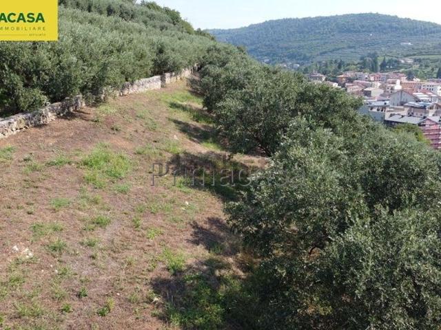 Terreno in vendita a Quinzano, Brenzone
