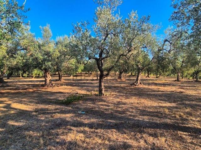 Terreno in vendita a Giuliano Teatino, Chieti