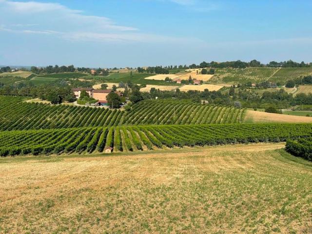 Terreno in vendita a Unione di comuni Terre di Castelli, Castelvetro Di Modena