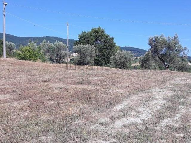 Terreno in vendita a Calabria, Cosenza