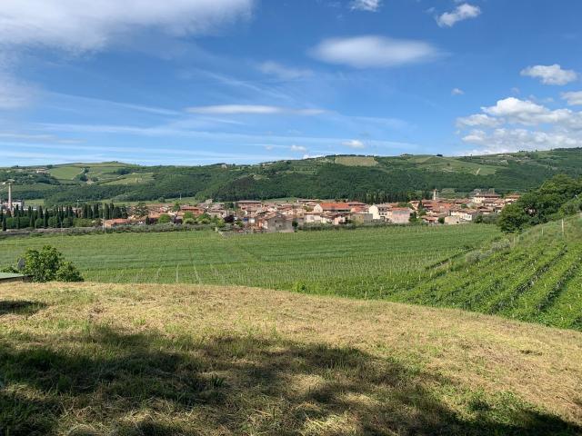 Terreno in vendita a Tregnago, Veneto