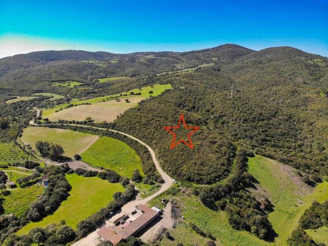 Terreno in vendita a Teulada, Sardigna/Sardegna