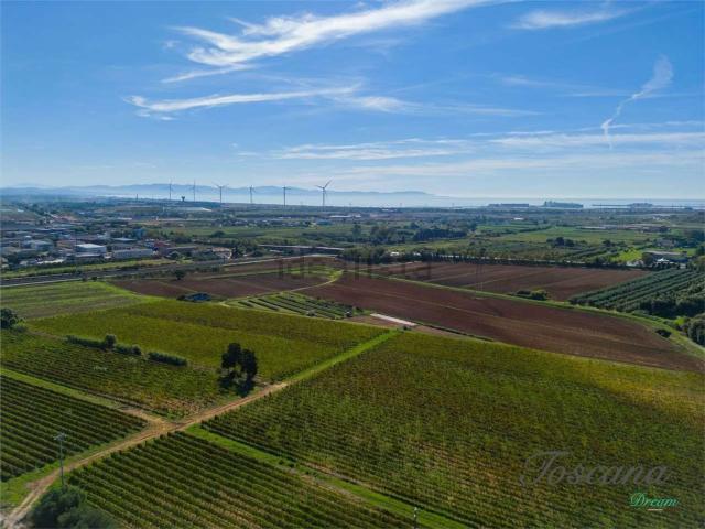 Terreno in vendita a Piombino, Toscana
