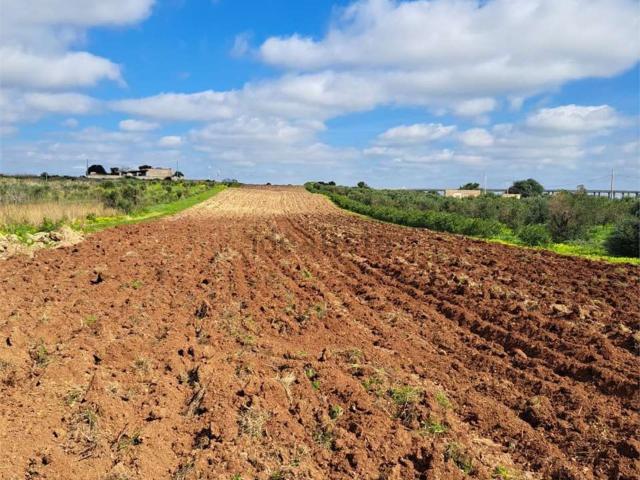 Terreno in vendita a Torre dei Gesuiti, Mazara Del Vallo