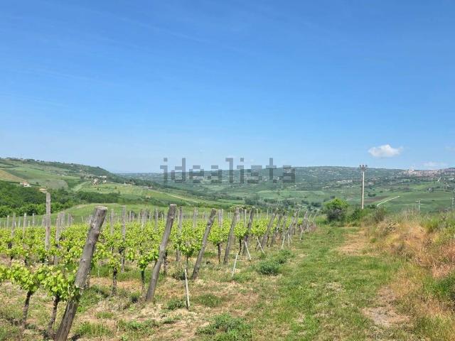 Terreno in vendita a Torella dei Lombardi, Avellino