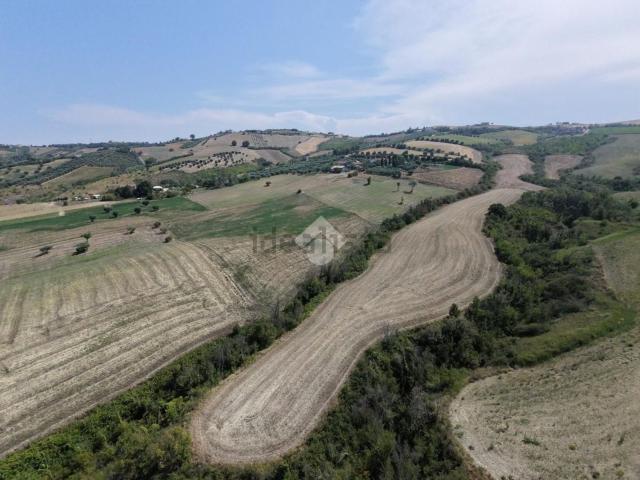 Terreno in vendita a Mosciano Sant'Angelo, Teramo