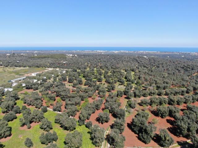 Terreno in vendita a Puglia, Brindisi