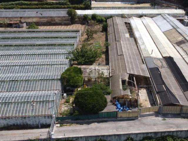 Terreno in vendita a Vallecrosia Alta, Vallecrosia