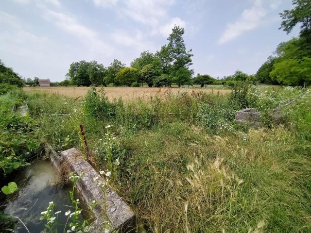 Terreno in vendita a Maserada Sul Piave, Veneto