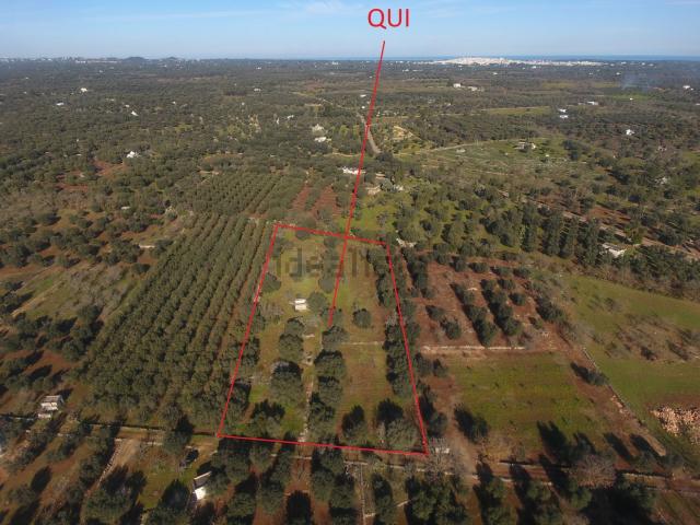 Terreno in vendita a Puglia, Brindisi