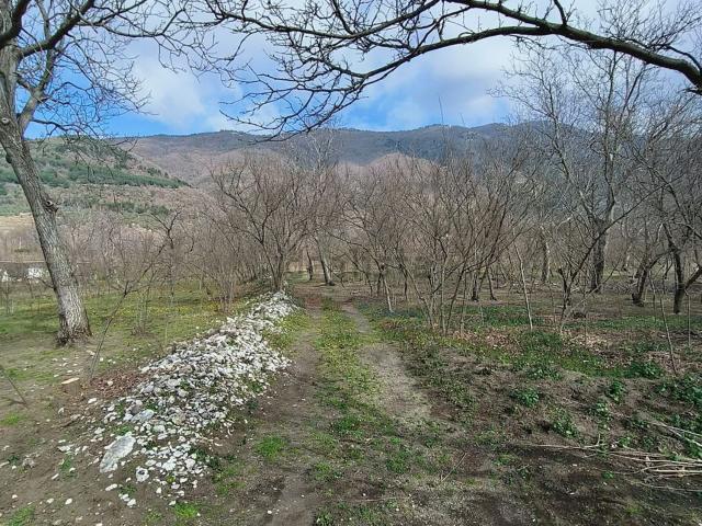 Terreno in vendita a San Martino Valle, Campania