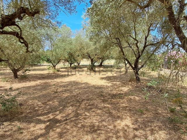 Terreno in vendita a Montefiascone, Lazio
