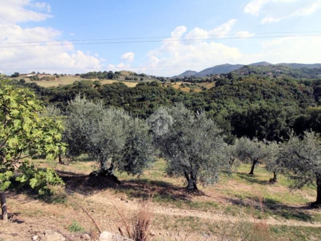 Terreno in vendita a Salisano, Lazio