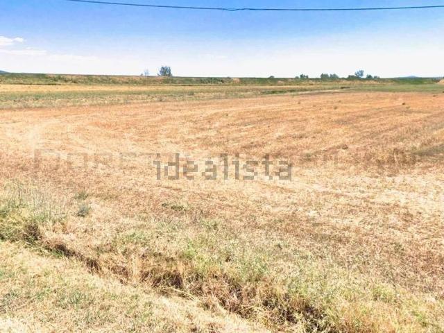 Terreno in vendita a Castiglione Della Pescaia, Toscana