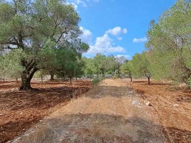 Terreno in vendita a Puglia, Brindisi